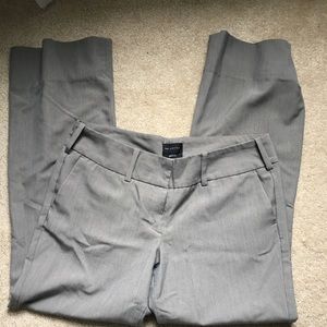 The limited dress pants